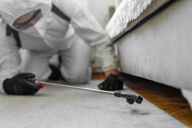 Professional Bed Bug Control technician working in Fairfield University, CT