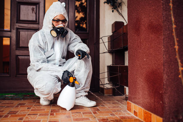 Reliable Bed Bug Control contractor in Fairfield University, CT by Nex Pest Control