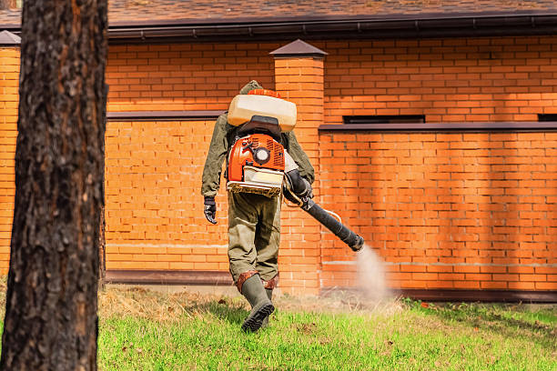 Trusted Emergency Pest Control service in Fairfield University, CT - Nex Pest Control